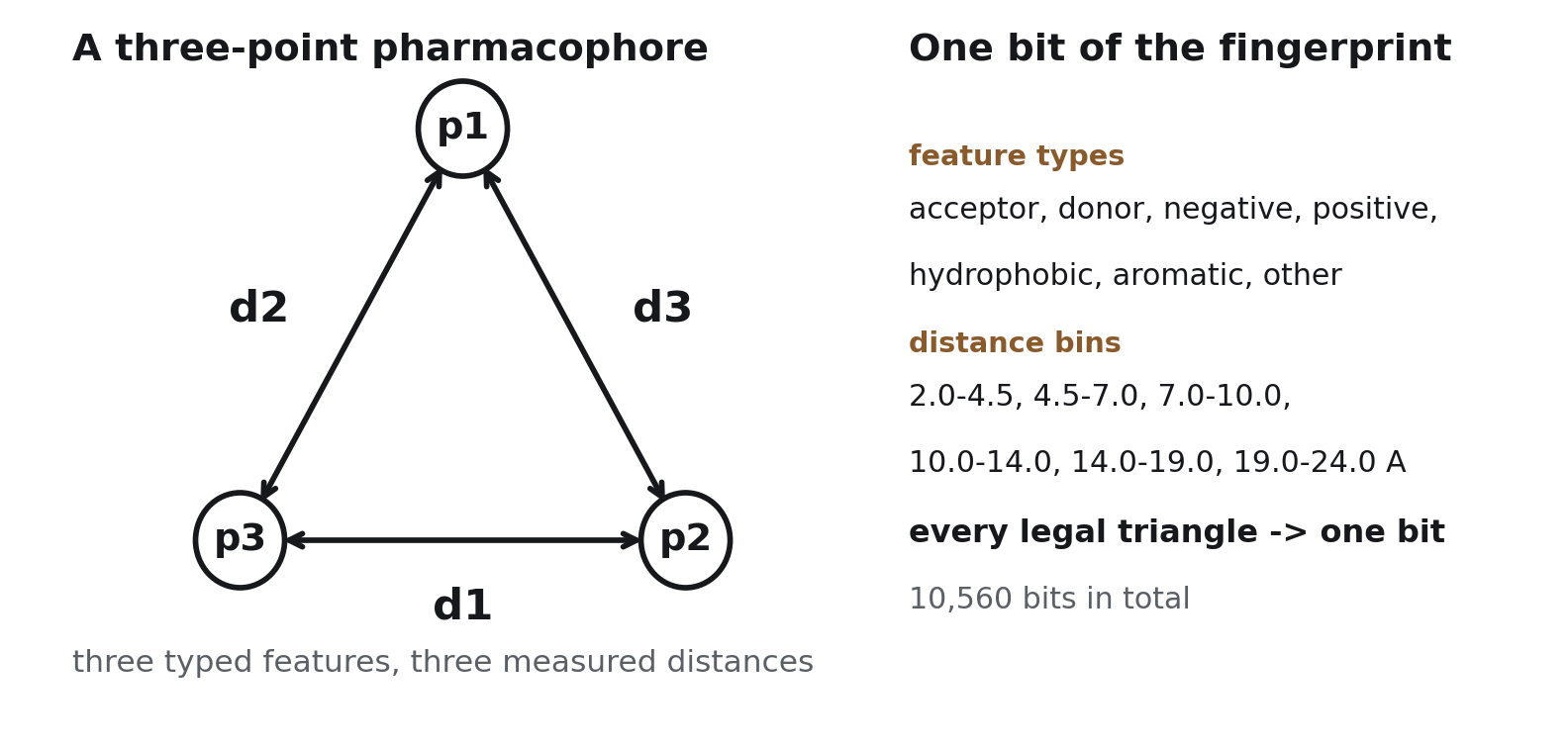 A three-point pharmacophore: three typed features p1, p2, p3 joined by three measured distances d1, d2, d3, beside the seven feature types and six distance bins that together enumerate 10,560 bits.